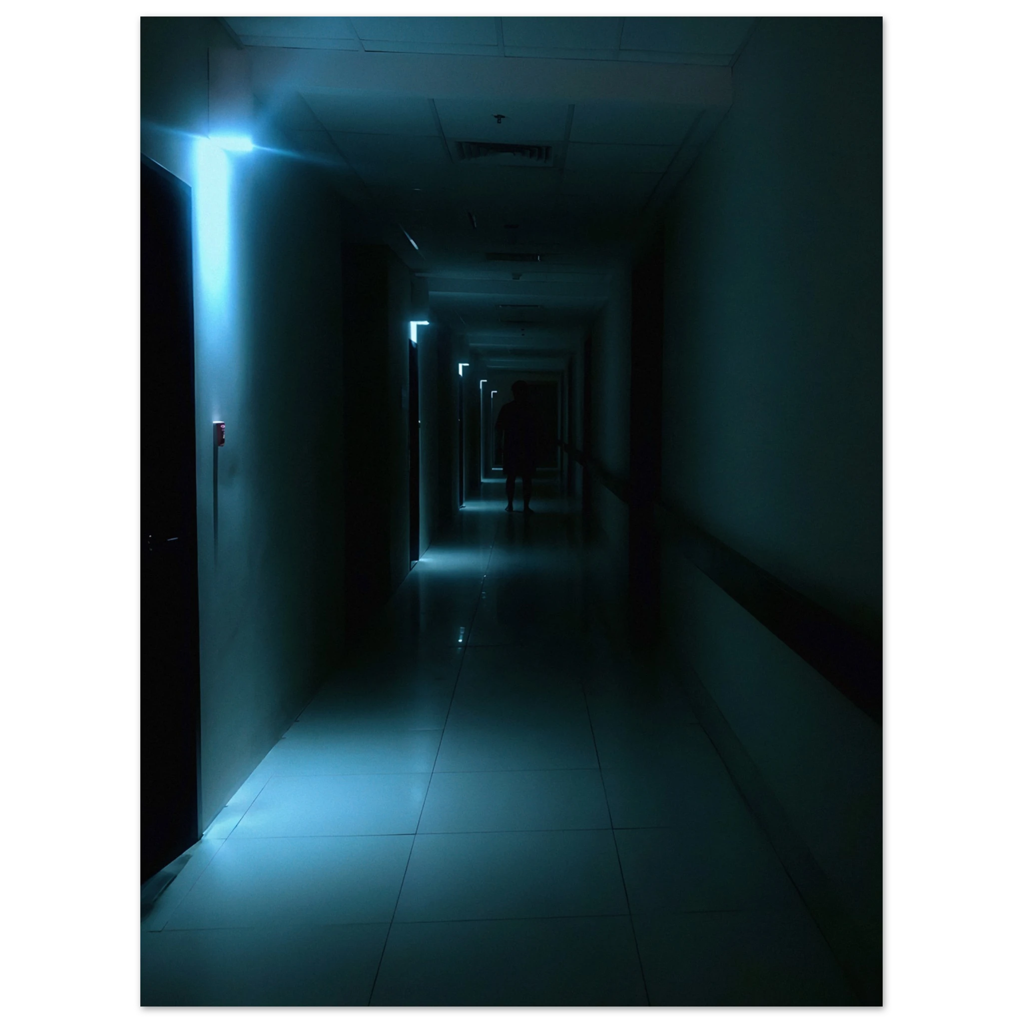c805b71e-d329-4214-985a-ce8da431500c